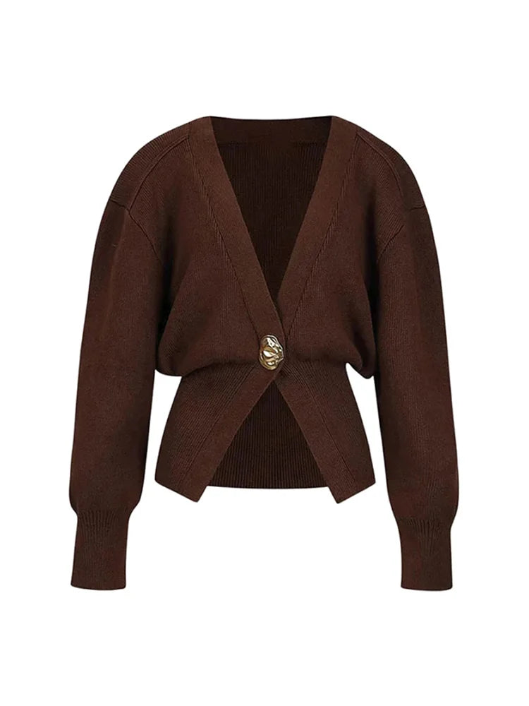 Brown cardigan with a gold button